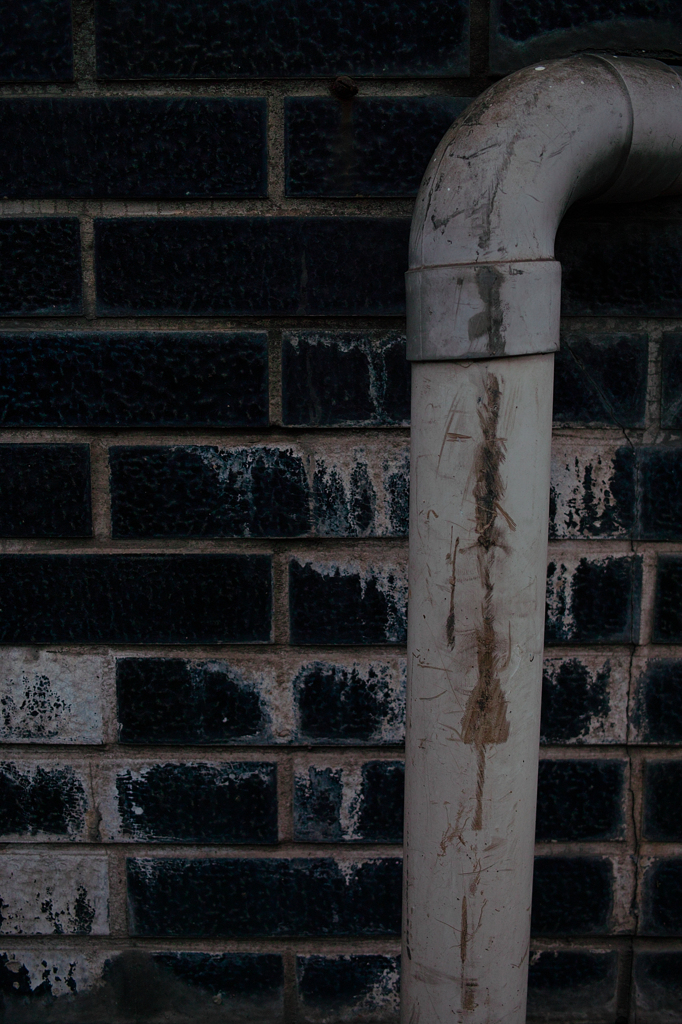 SDIM0929