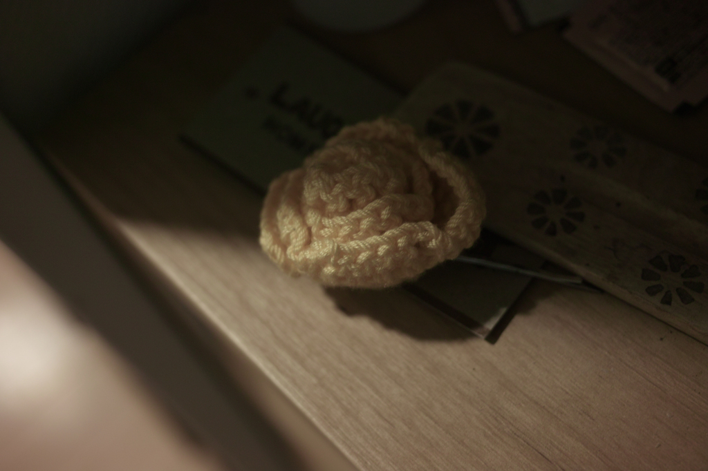 SDIM4878