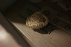 SDIM4878