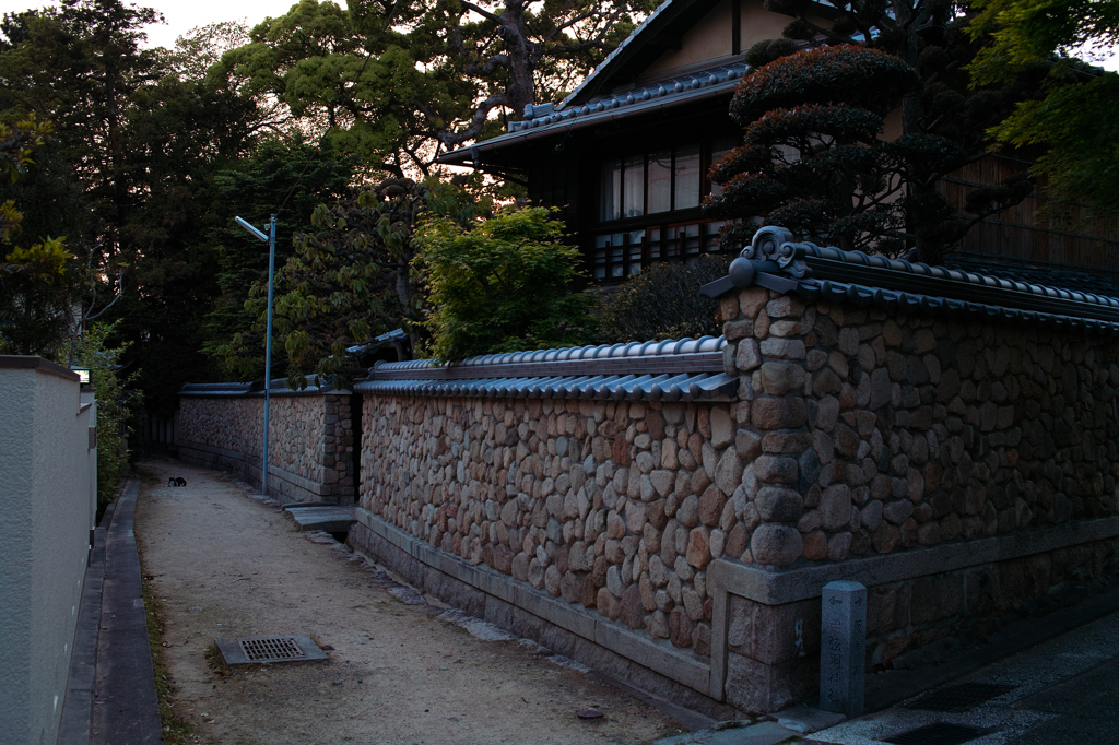 SDIM5460