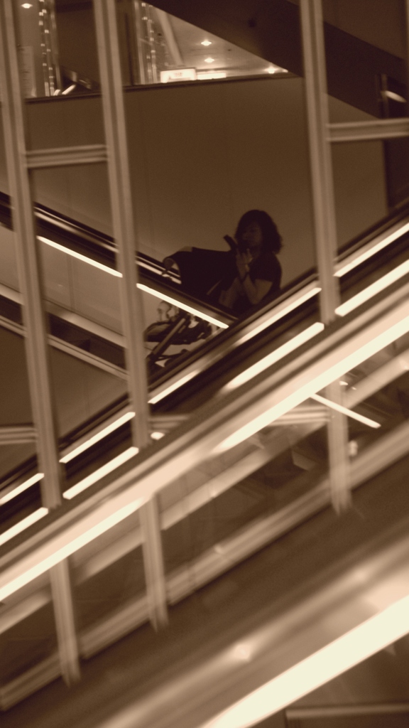 SDIM0239