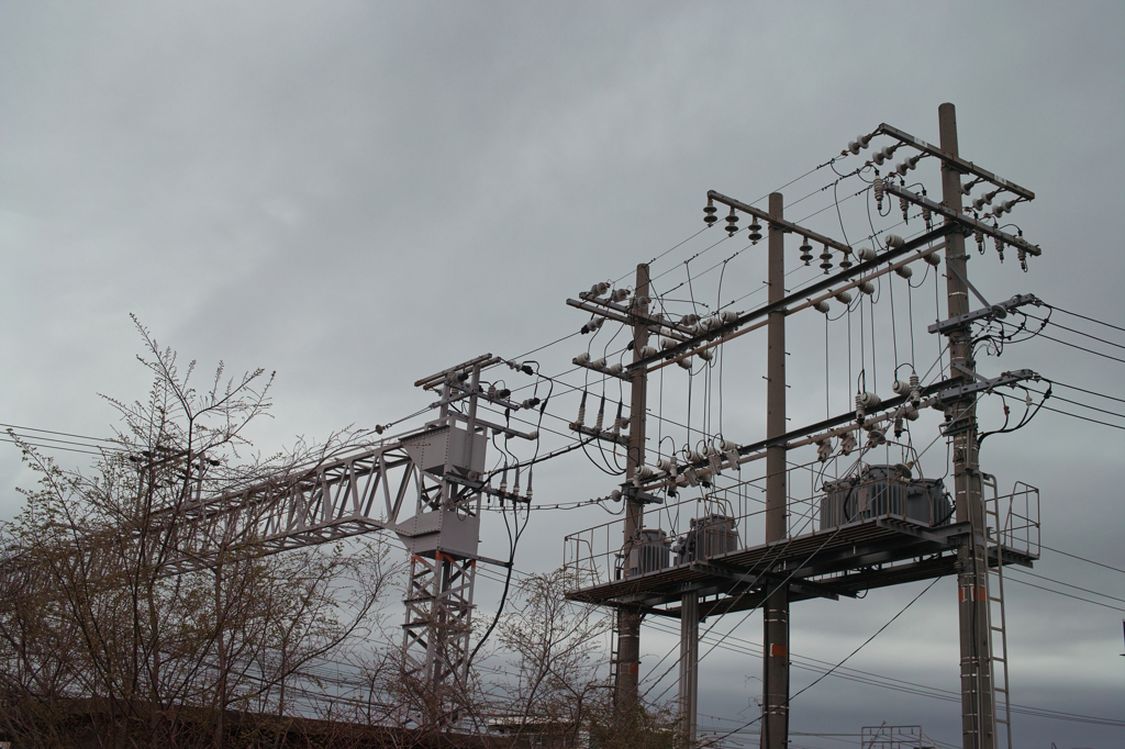 SDIM4873