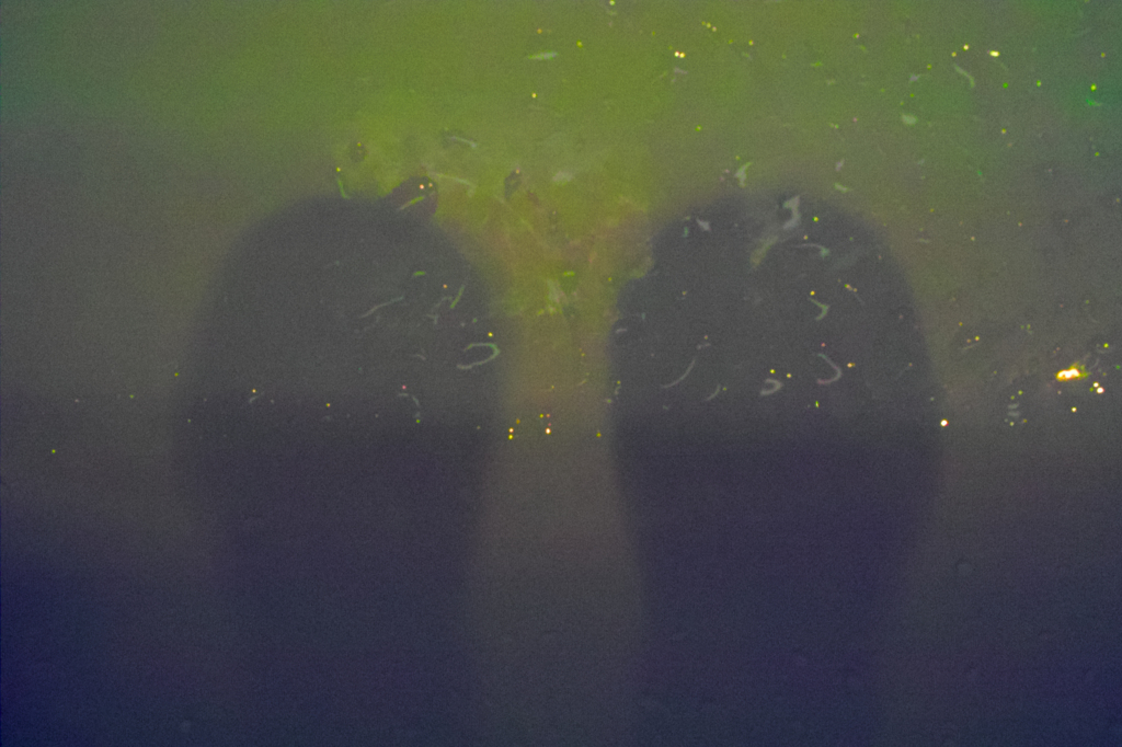 SDIM4787
