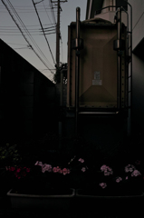 SDIM1038