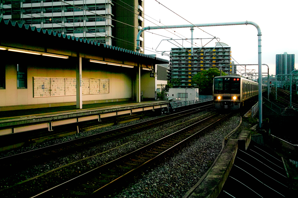 SDIM0313