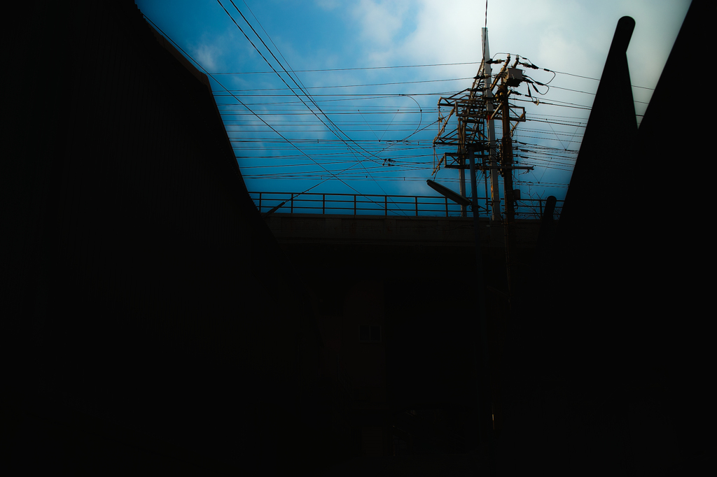 aoi-sora