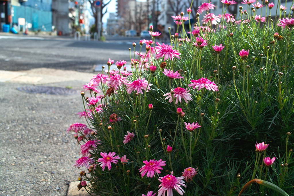 今日　Ⅰ