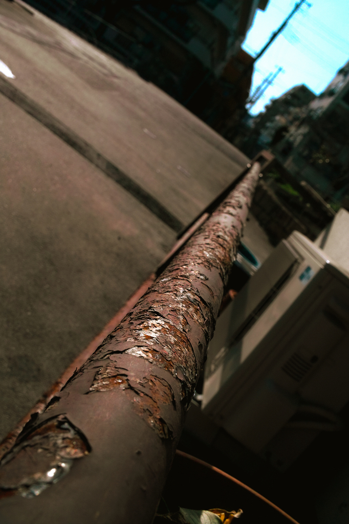ＲＵＳＴ