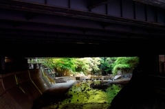 SDIM5731