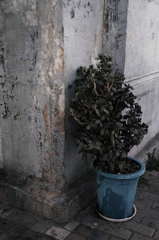 ＳＴＲＥＥＴ　ＣＯＲＮＥＲ