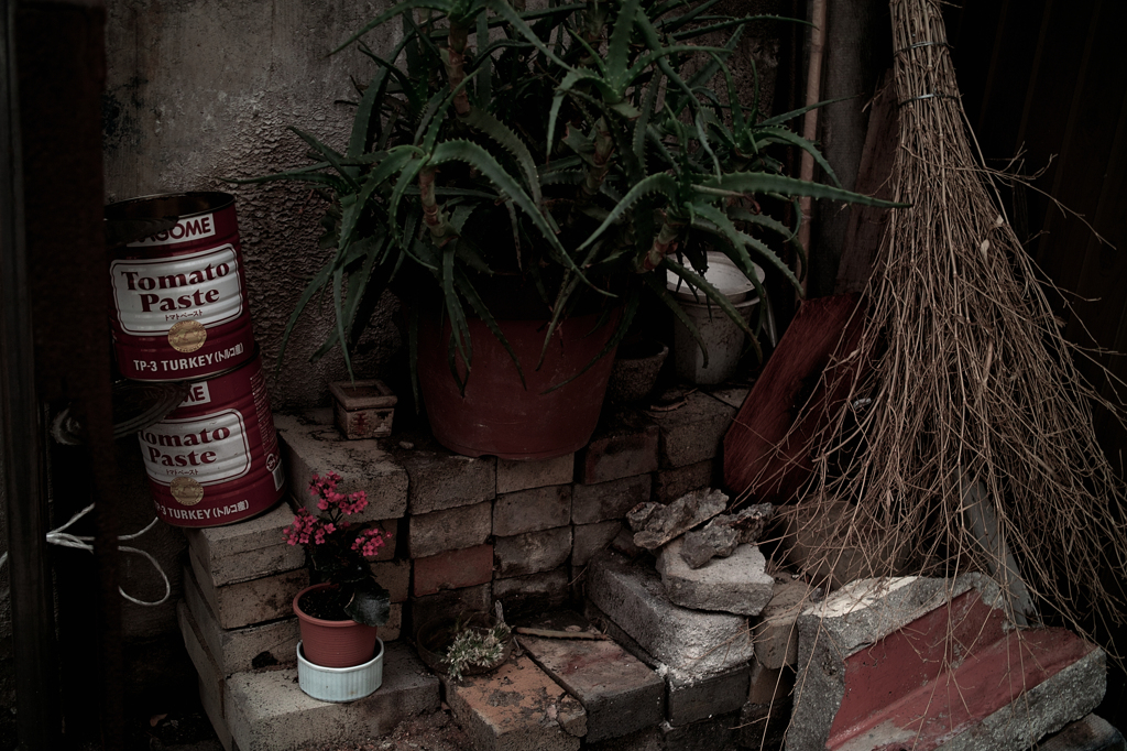 SDIM0843