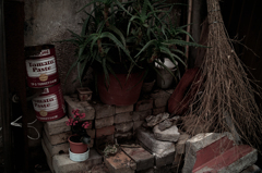 SDIM0843
