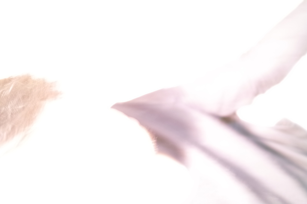 SDIM4493