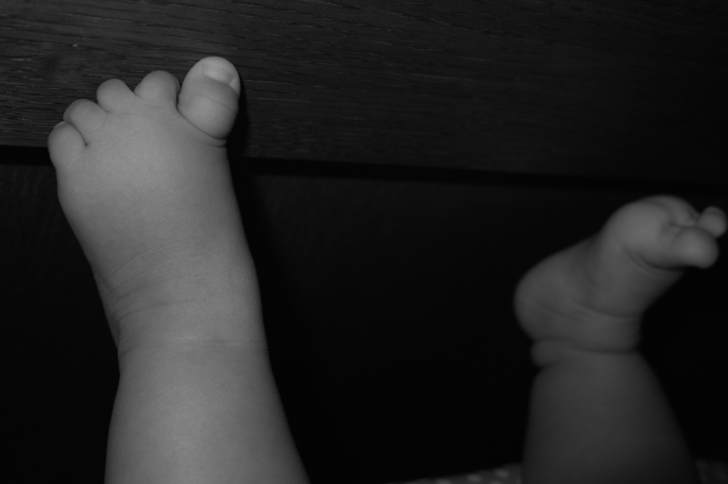 SDIM0298