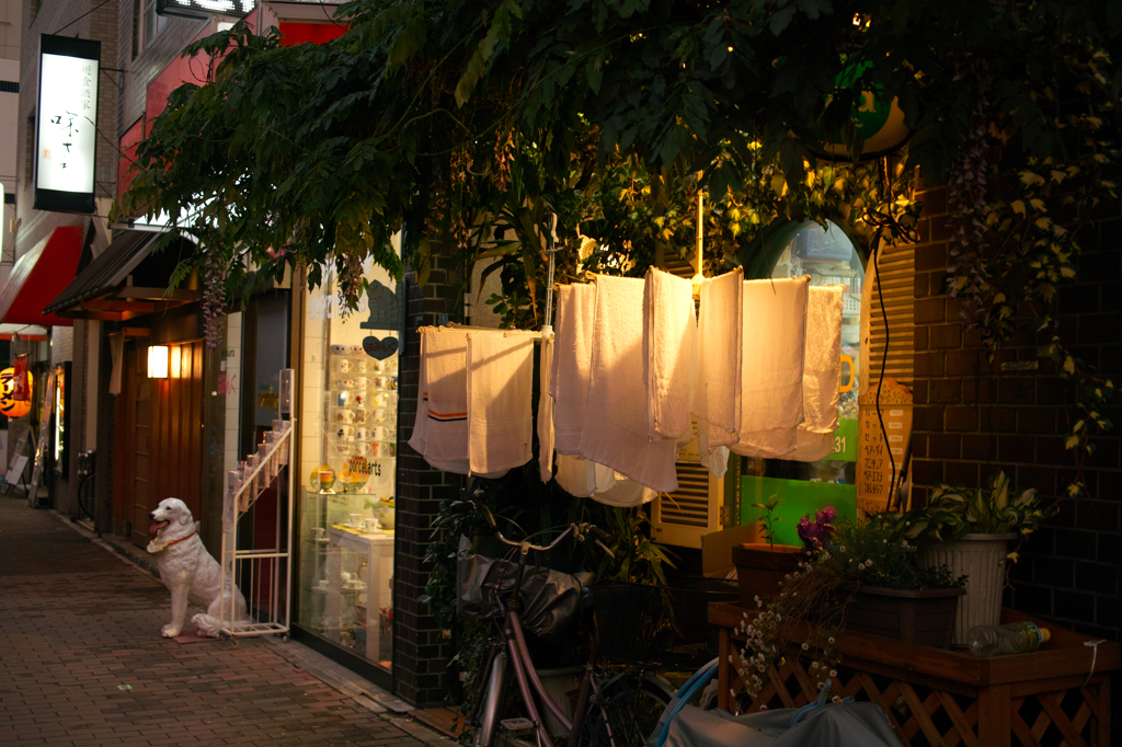 SDIM0122