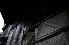 SDIM0841