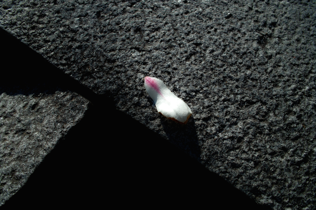 Dropping petal