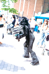 SDIM0677