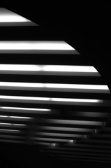 SDIM4965