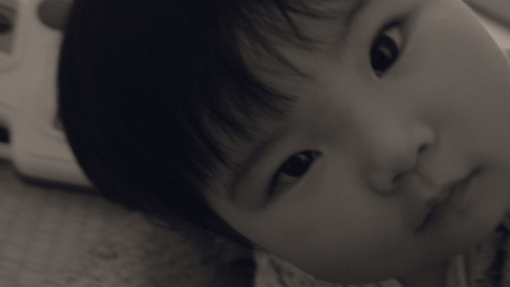 SDIM0609