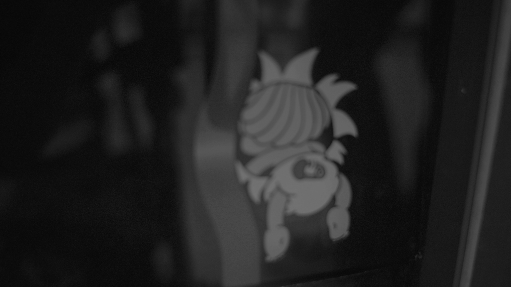 SDIM0250