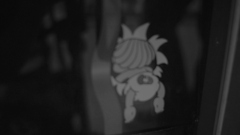 SDIM0250