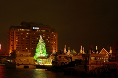 函館 クリスマスファンタジー2009