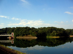 多摩湖～夏の朝～