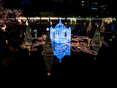 警固公園のクリスマスイルミネーション（福岡）