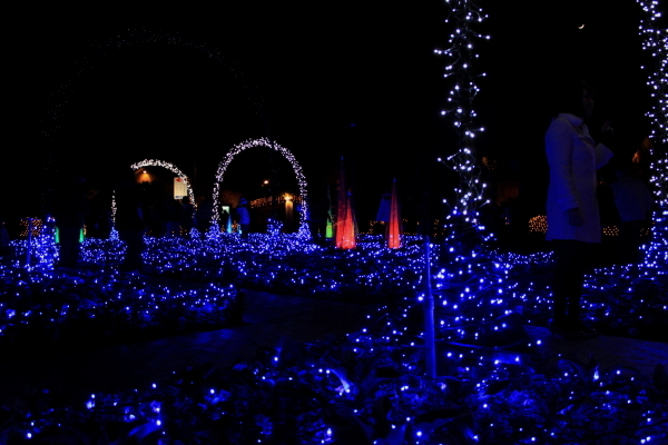 イルミネーション