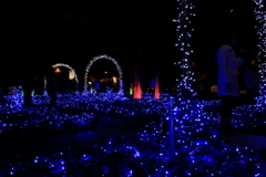 イルミネーション