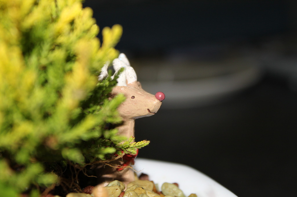 茂みの中からこんにちわ