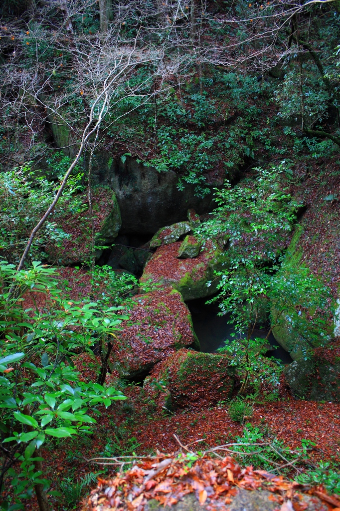 雨上がり