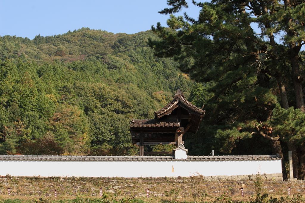 高月院