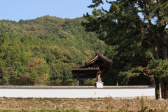 高月院