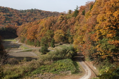 農村