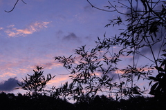 夜明け空