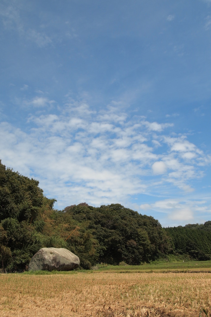 田んぼの巨岩