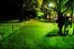 夜のイエローカーペット