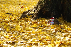 雪だるまの旅・・・Ⅰ