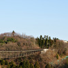 森のわくわく橋１