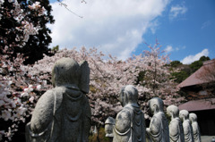 お地蔵さんの花見