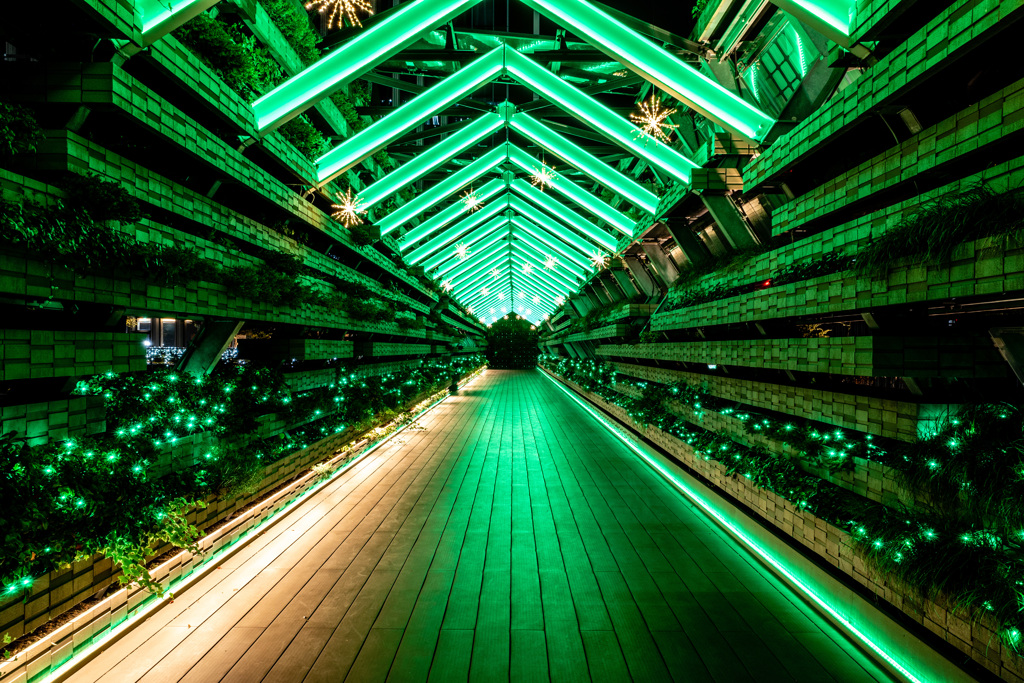 Emerald Night