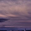 雲