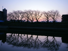 五条川の夕暮れ