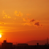 五月の夕日