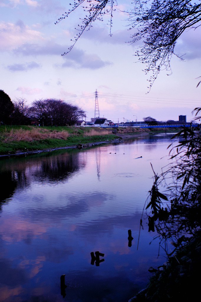 夕暮れの五条川