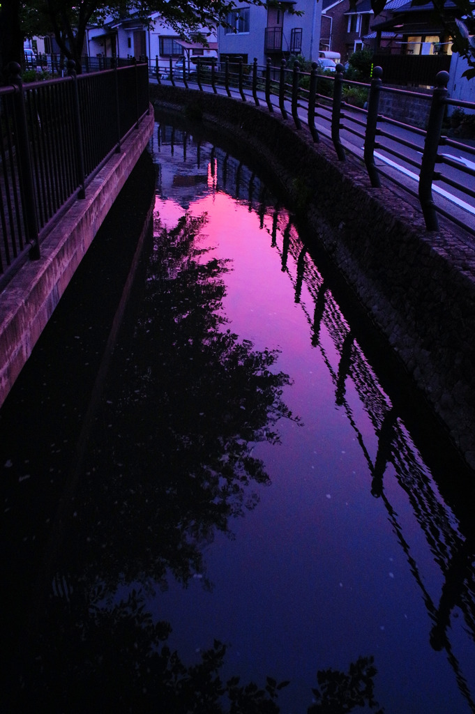 用水路の夕景