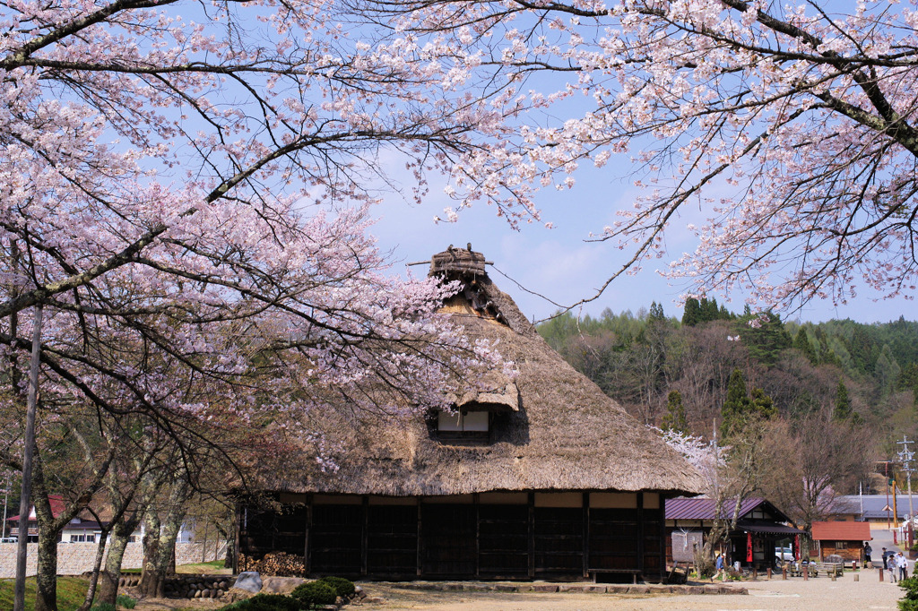 荘川の里