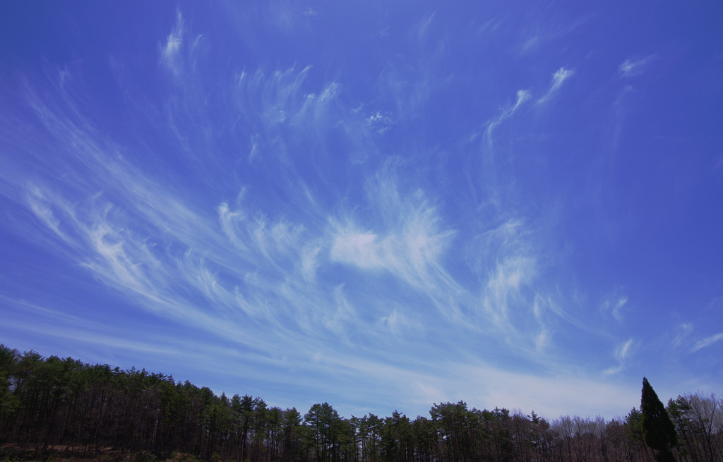 高原の空